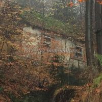 Rustico/Casale/Baita - Craveggia(VB)