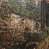 Rustico/Casale/Baita - Craveggia(VB)