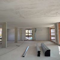 4 o più locali - Novara(NO)