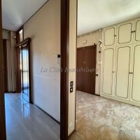 4 o più locali - Novara(NO)