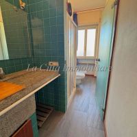 4 o più locali - Novara(NO)